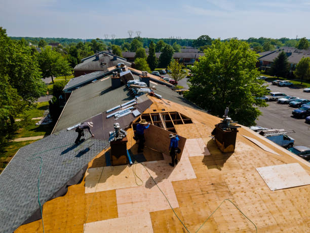 24/7 Emergency Flat Roof Repair experts in Elbow Lake, MN